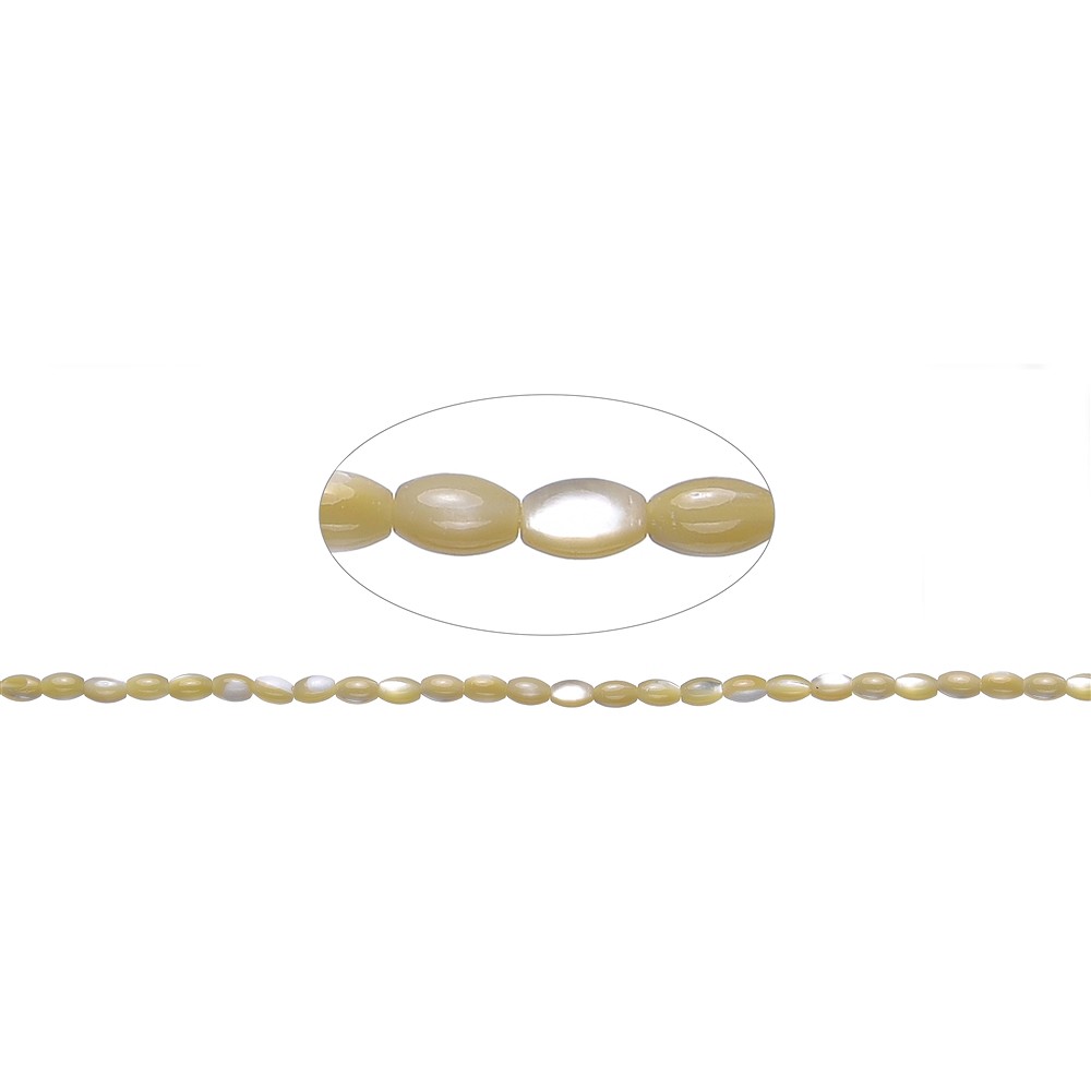 Hebra de grano de arroz, Madre Perla (Nácar), 05 x 03mm | Marco Schreier