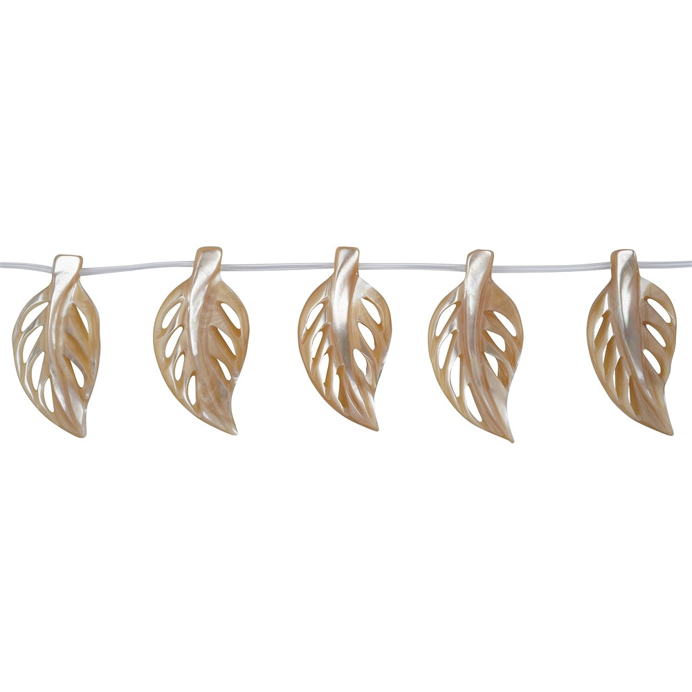 Rang de colliers feuilles, nacre (jaune brun), 20 x 40mm | Marco Schreier