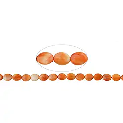 146330328820 Lente plana, Ostra espinosa, 10 x 08mm | Marco Schreier