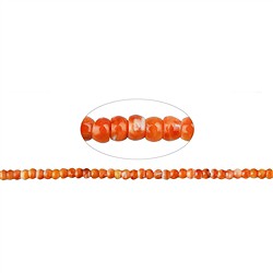 146330329020 Rang de colliers, Spiny Oyster, 2,5 x 4mm | Marco Schreier