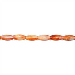 146330514120 Rangs de colliers, Spiny Oyster, 10 x 05mm  | Marco Schreier