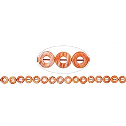 146330828920 Strang Rahmen rund, Spiny Oyster, 10mm | Edelsteine, Heilsteine & Schmuck-Handel