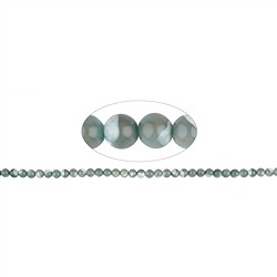 146370100520 String Beads, Mother of Pearl (green), 06mm | wholesaler gems &amp; healing stones