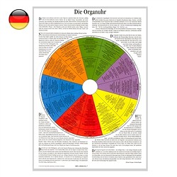 1500001002 Poster "Horloge des organes", A2 | Marco Schreier