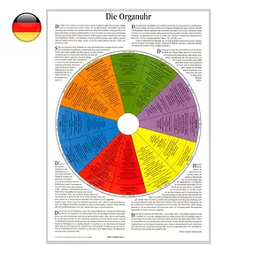 Organ clock" poster, A2 | wholesaler - gems, precious & healing stones, jewelry