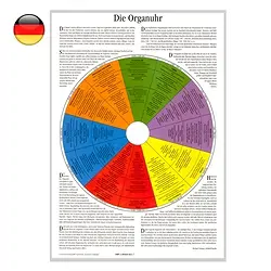 1500001004 Poster "Horloge des organes", A4 | Marco Schreier