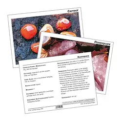 1500002013 Familiarization set (10 different cards) | wholesaler gems & healing stones