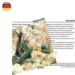 1500602000 Mineral Card Actinolite (PU with 10 pieces) | wholesaler gems & healing stones