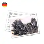 https://cdn.marcoschreier.com/content/productimages/1501902000_zoom.jpg