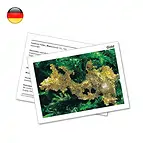 https://cdn.marcoschreier.com/content/productimages/1508002000_zoom.jpg