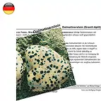 https://cdn.marcoschreier.com/content/productimages/1509202000_zoom.jpg
