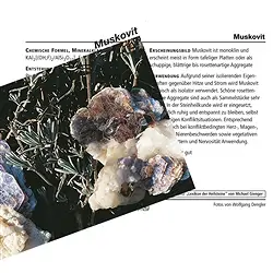 1511502000 Tarjeta mineral Moscovita (PU con 10 piezas) | Marco Schreier
