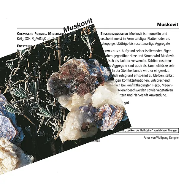 Mineral Card Muscovite (PU with 10 pieces) | wholesaler gems & healing stones