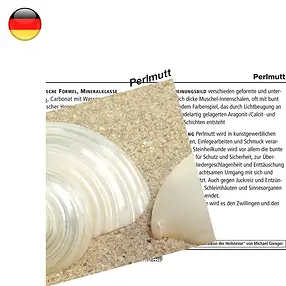 Mineralienkarte Perlmutt  (VE mit 10 Stück) | Edelsteine, Heilsteine & Schmuck