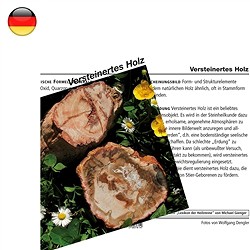 1518702000 Carte min&#xE9;ralogique Bois silicofi&#xE9; (UC de 10 pi&#xE8;ces) | Marco Schreier