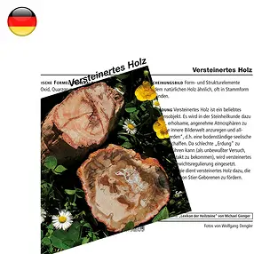 Mineral Card Petrified Wood (PU with 10 pieces) | Marco Schreier