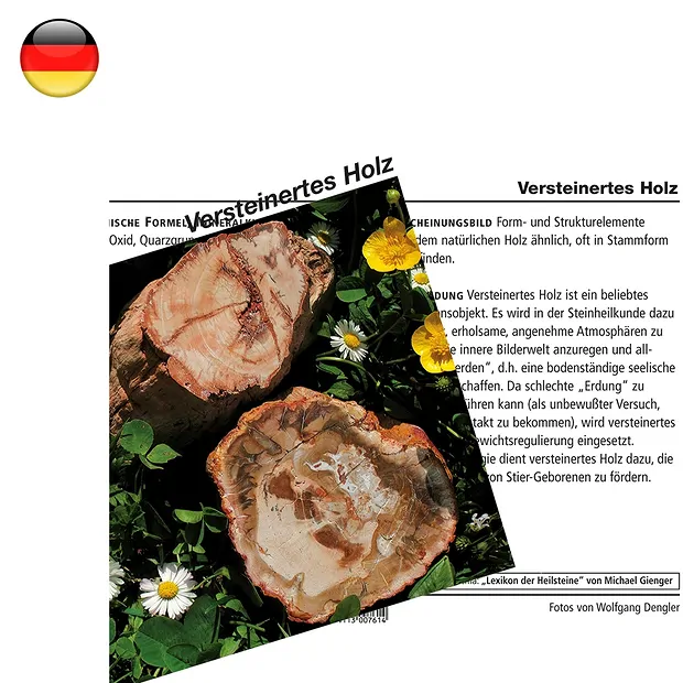 Mineralienkarte versteinertes Holz (VE mit 10 Stück) | Marco Schreier