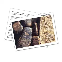 1522602000 Mineralienkarte Stromatolith  (VE mit 10 Stück)  | Marco Schreier