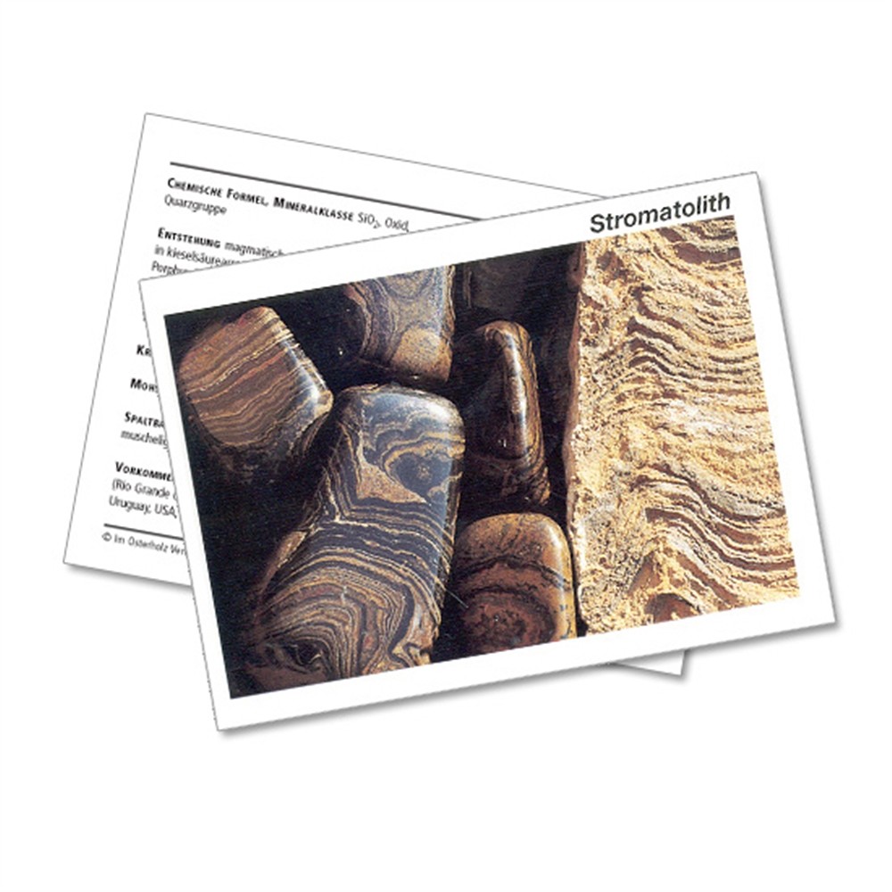 Mineral Card Stromatolite (PU with 10 pieces)  | Marco Schreier
