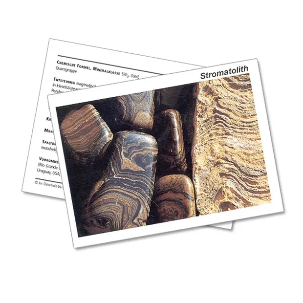 Tarjeta mineral Estromatolito (PU con 10 piezas)  | Marco Schreier