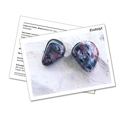 1523102000 Tarjeta mineral Eudialyte (PU con 10 piezas) | Marco Schreier