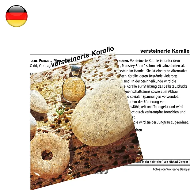 Mineralienkarte versteinerte Koralle (VE mit 10 Stück) | Marco Schreier