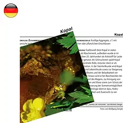 1530902000 Mineral Card Copal (PU with 10 pieces) | wholesaler gems & healing stones