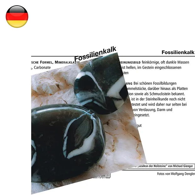 Tarjeta mineral cal fósil (PU con 10 piezas) | Marco Schreier