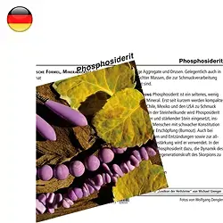 1543802000 Carta minerale fosfosiderite (UC con 10 pezzi) | Marco Schreier