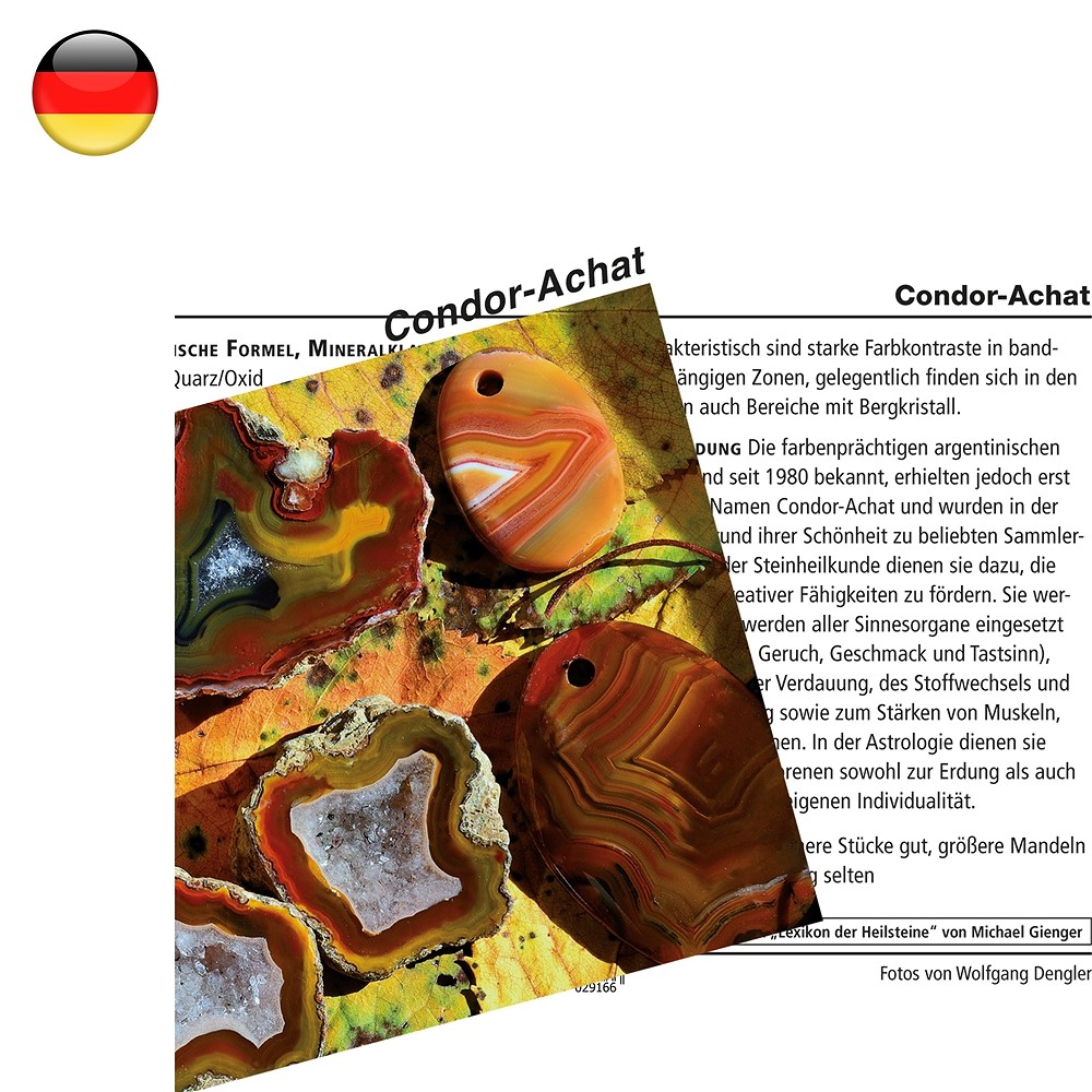 Mineral Card Agate (Condor Agate) (PU with 10 pieces) | Marco Schreier