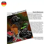 https://cdn.marcoschreier.com/content/productimages/1548702000_zoom.jpg