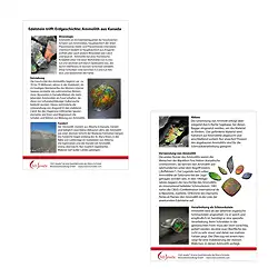 1558350010 Dealer information Ammolite | Schreier wholesale; gems, healing stones & jewelry