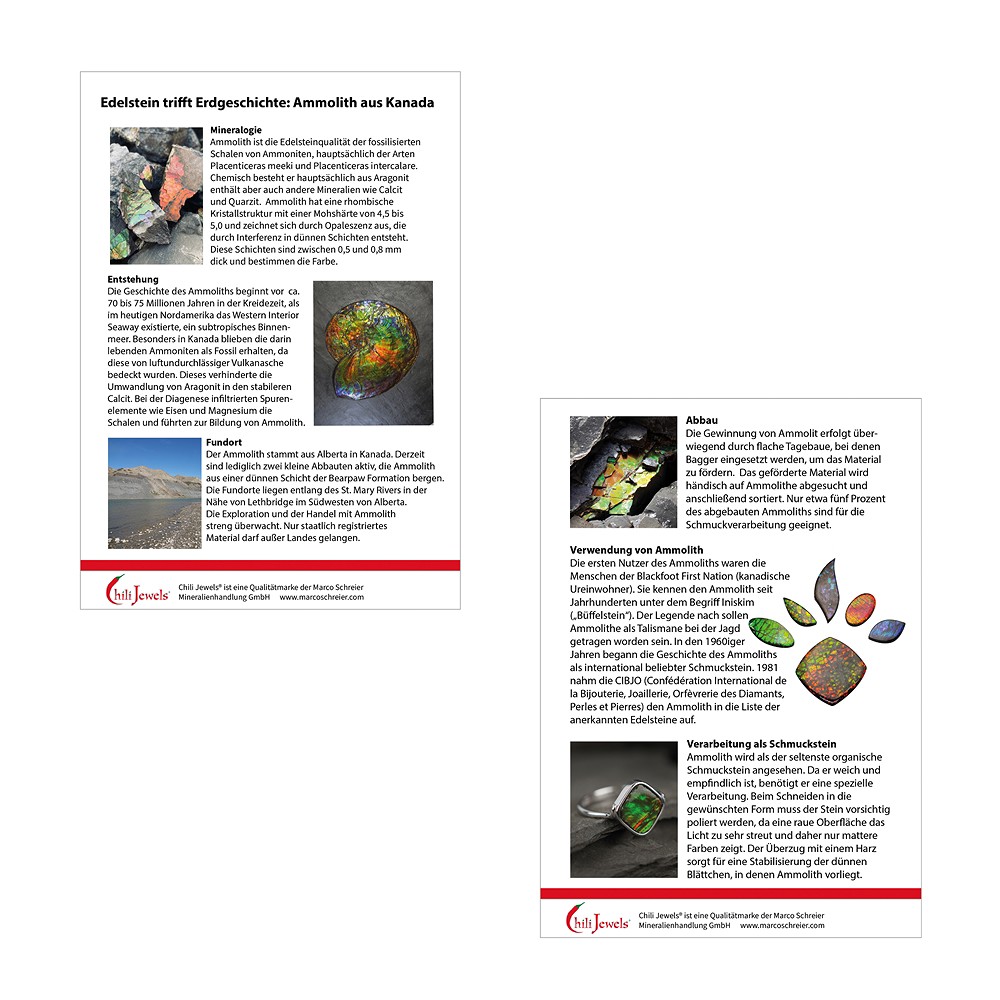 Händler-Info Ammolith | Schreier Großhändler Edelsteine, Heilsteine & Schmuck