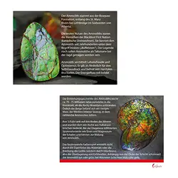 1558350020 Kunden-Info Ammolith | Schreier Großhändler Edelsteine, Heilsteine & Schmuck