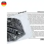 https://cdn.marcoschreier.com/content/productimages/1560102000_zoom.jpg