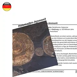 1560402000 Carte minéralogique Ammonite Holzmaden (UC de 10 pièces) | Marco Schreier