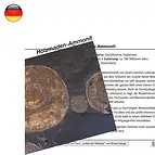 https://cdn.marcoschreier.com/content/productimages/1560402000_zoom.jpg