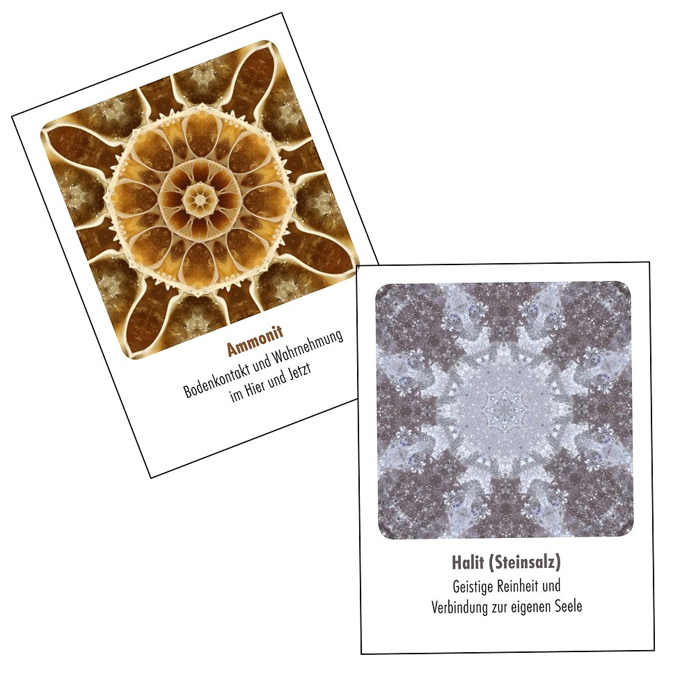 Bergmann, Stephan & Girulat, Frank: Steinwesen im Medizinrad | Marco Schreier