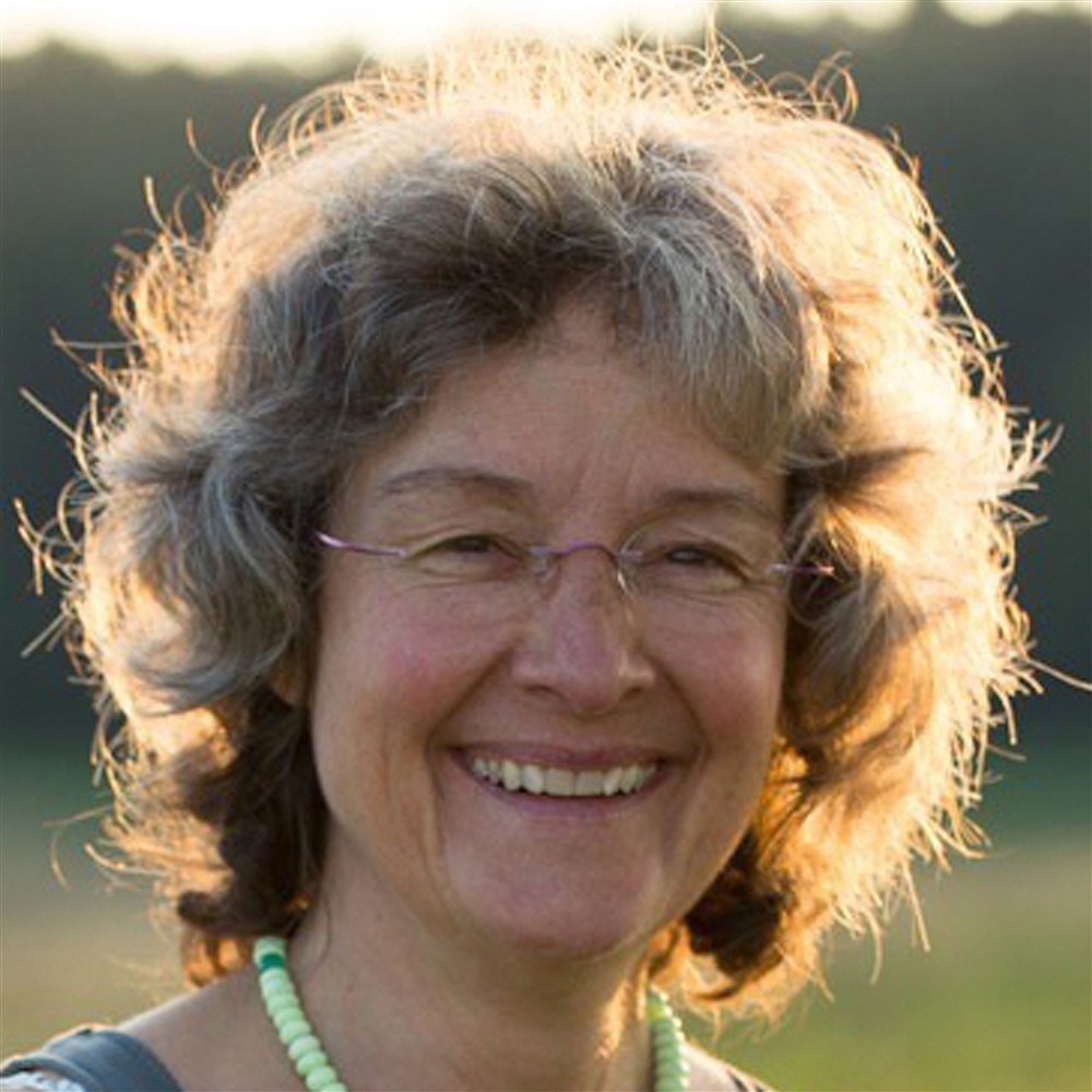 Miesala-Sellin, Elisabeth:  Stein und Blüte - Sellizin für die Seele  Das Lehr-und Arbeitsbuch | Marco Schreier