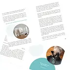 https://cdn.marcoschreier.com/content/productimages/163401_d2.jpg