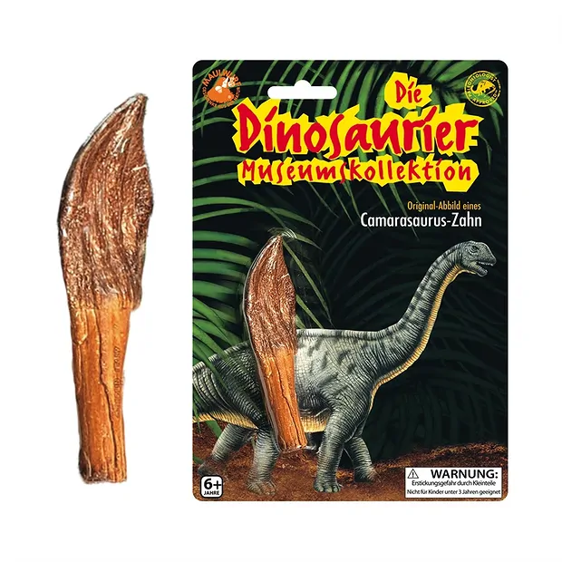 Claw replica Camarasaurus | Schreier - wholesaler gems, healing stones & jewelry