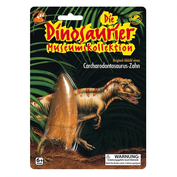 Zahn-Replikat Carcharodontosaurus | Großhändler Edelsteine, Heilsteine & Schmuck
