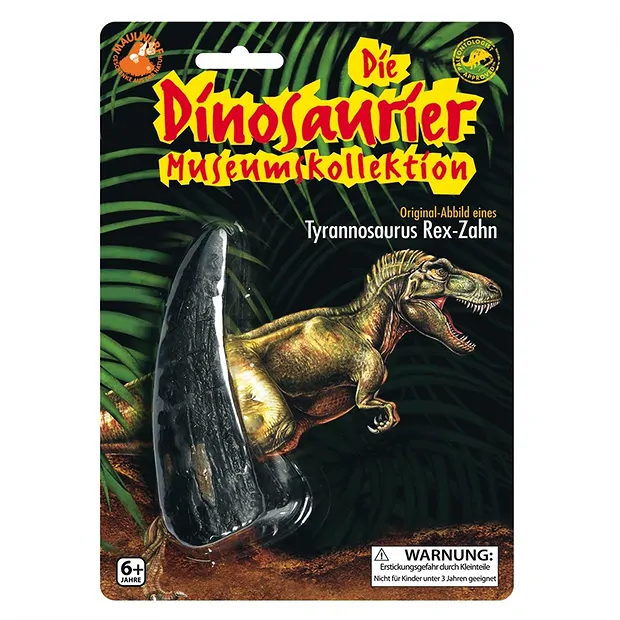 Zahn-Replikat T-Rex | Marco Schreier Großhandel Edelsteine, Heilsteine & Schmuck