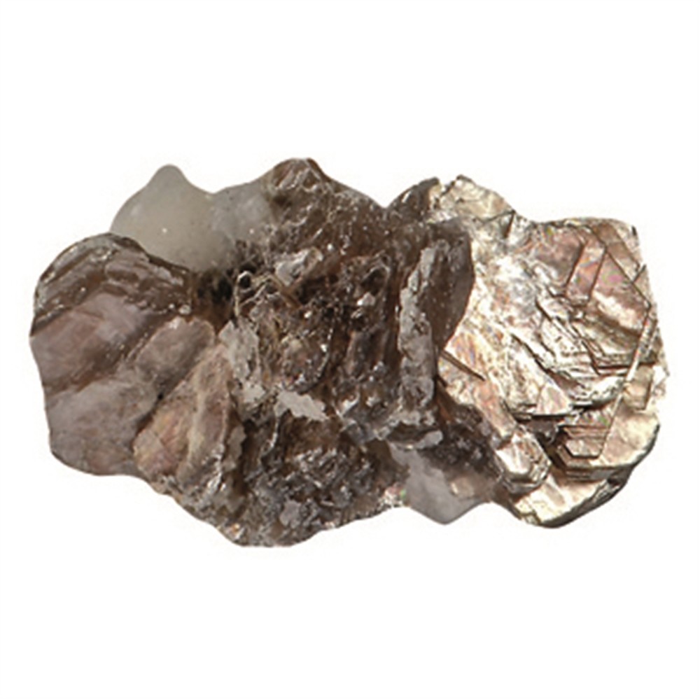 Lupendose Muskovit | Marco Schreier Großhändler Edelsteine, Heilsteine & Schmuck