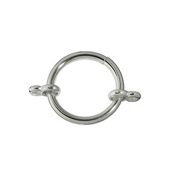 1905287011 Anillo de sujeción con dos ojales dobles, plata, 22 mm (1 ud./VE) | Marco Schreier