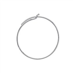 1905505071 Creole 20mm, silver (6 pcs./ PU) | wholesaler gems, healing stones & jewelry