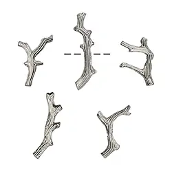1905609201 Branches de corail 20-30mm, argent (5 pcs/UC) | Marco Schreier