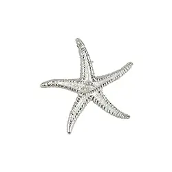 1905696011 Stella marina 17 mm, argento (2 pz./ UC) | grossista gemme e pietre curative