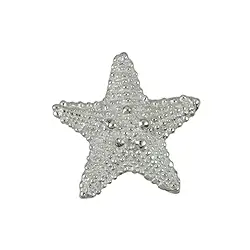 1905696021 Seestern 19mm, Silber (2 St./VE) | Großhändler Edelsteine, Heilsteine & Schmuck