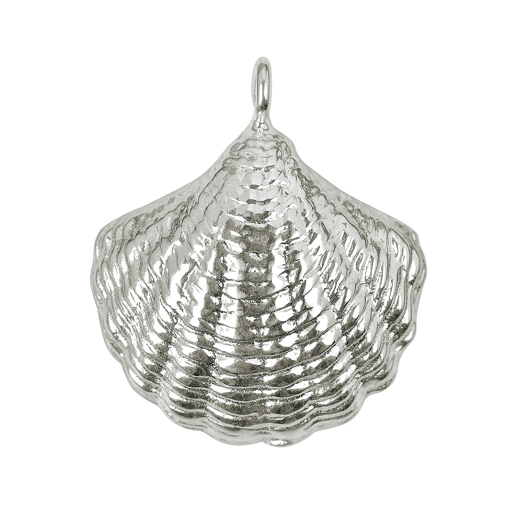 Conchiglia 19 mm, argento (1 pz./ UC) | grossista gemme e pietre curative